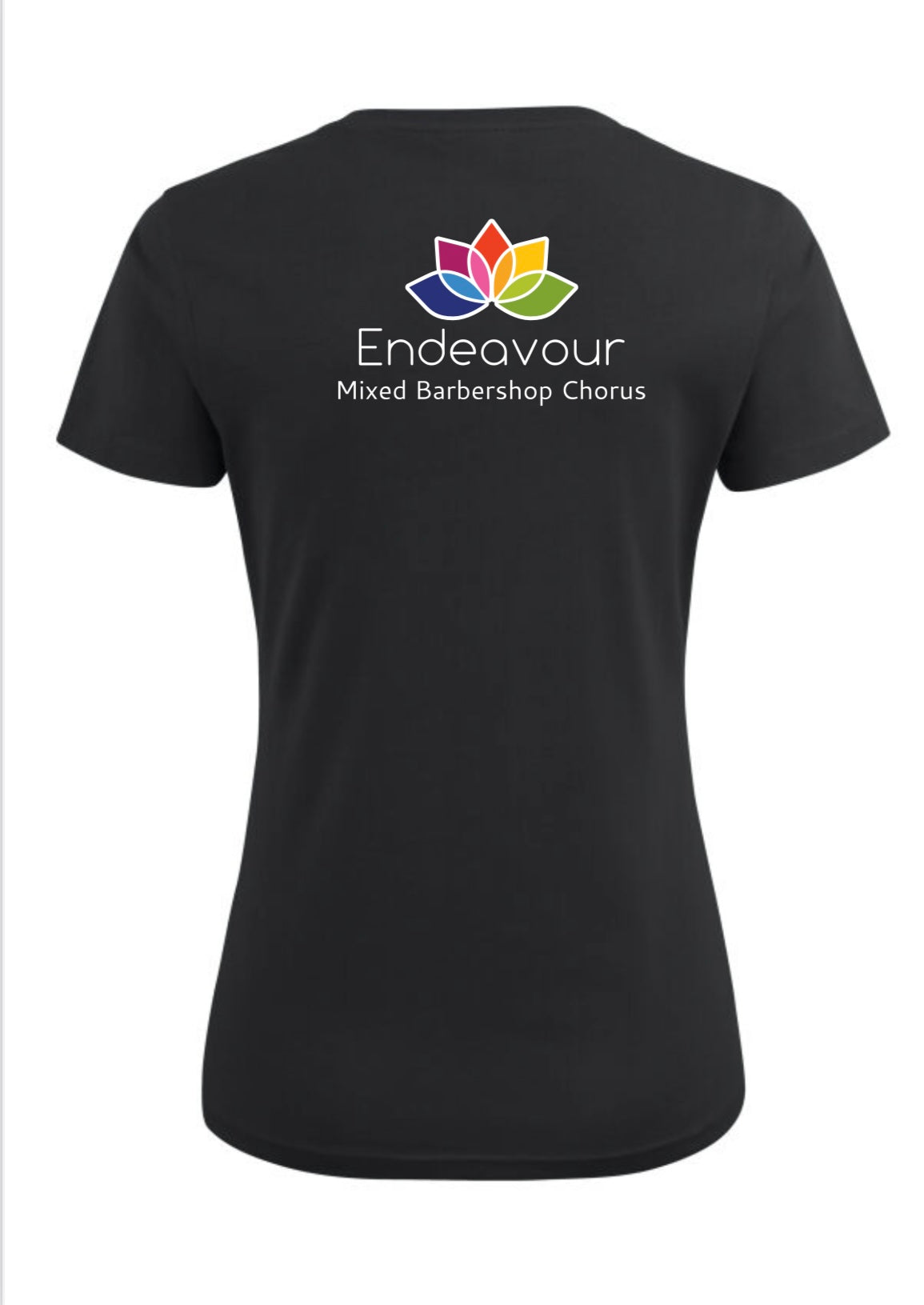 Endeavour ladies v-neck t-shirt (PE2264025)