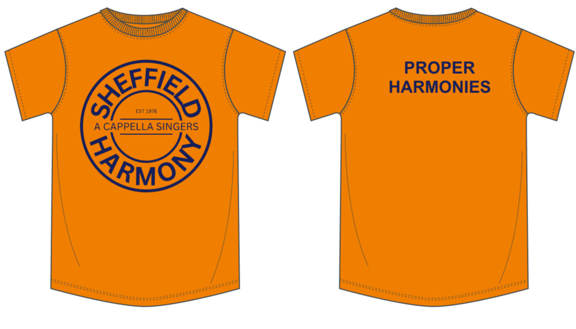 "PROPER HARMONIES" t-shirt (B220F)