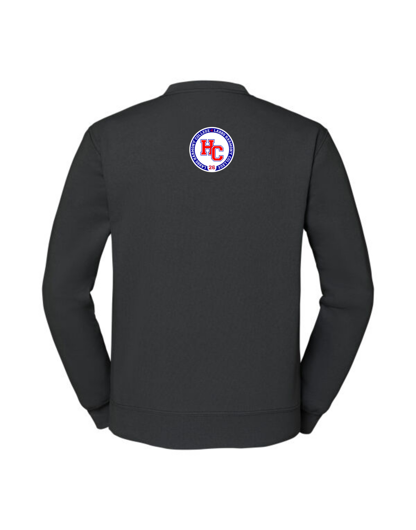Salad Days sweatshirt