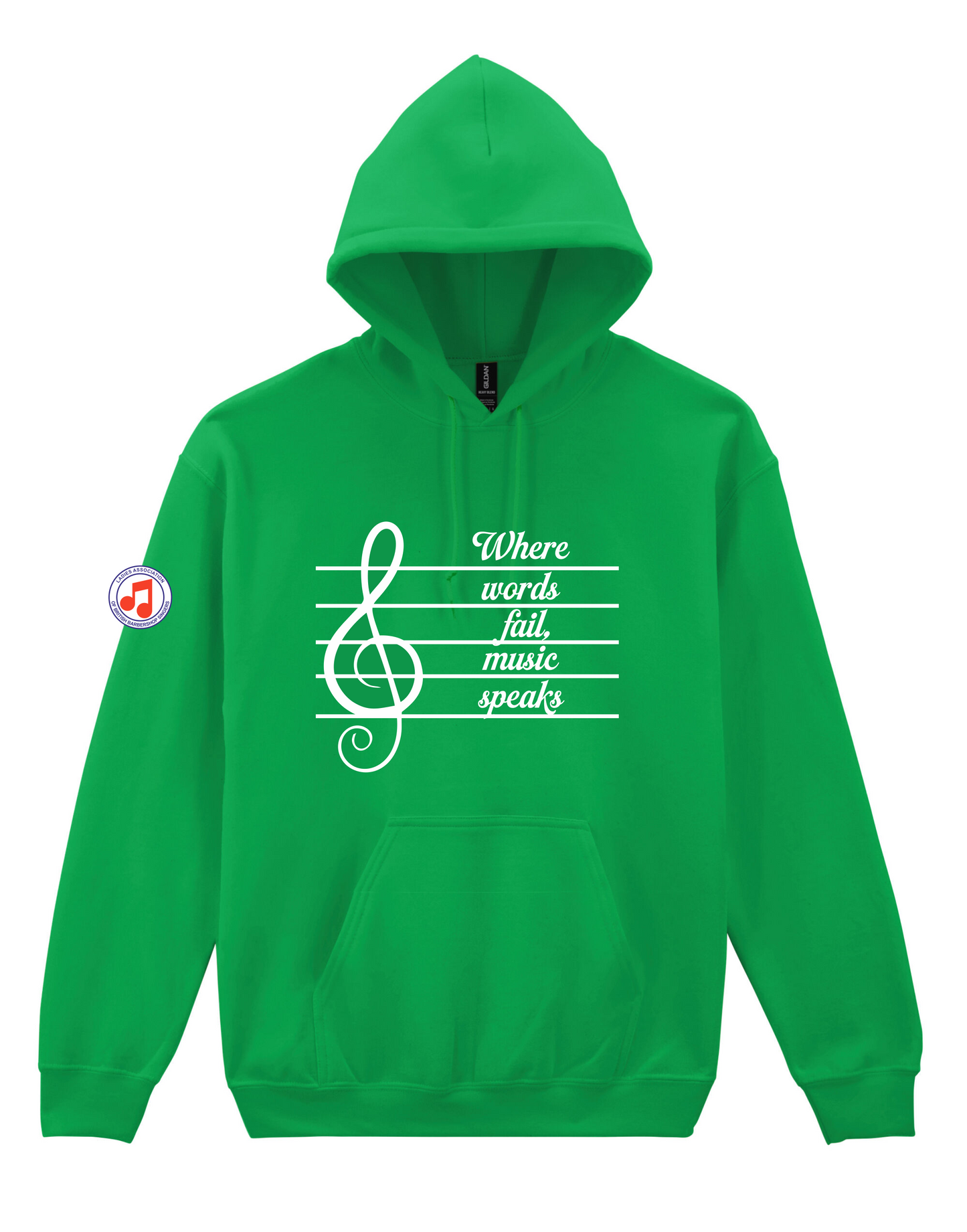 "Where words fail, music speaks" hoody (18500)